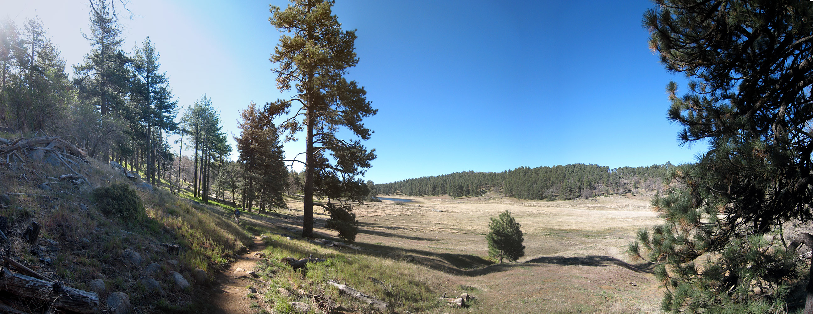 Hiking through Laguna Meadow with Laguna Lake in the distance on the Big Laguna Trail