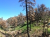 The last part of the PCT on the trail