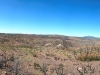 heading along the burnt forest on the PCT