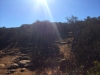 Mesa Road Trail and Big Rock Junction