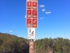 The top of the Big Rock Trail as you connect into the service road