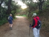 hiking among the oaks