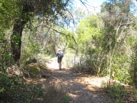 creekside trail