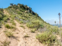 the trail up to the geocach