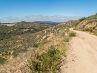 the windy road up