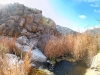 In the reeds at the top of Cedar Creek Falls