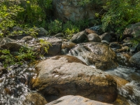 the creek