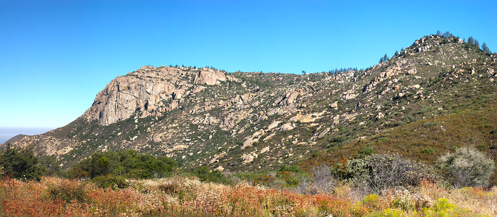 Corte Madera Mountain