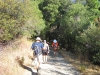 Heading up the trail through the shady oaks