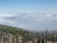 little mountain tops poking out of the clouds