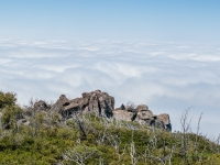 looking down on top of the clouds