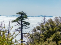 looking towards Mt Laguna