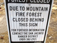 forest closed