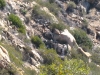 climbers-heading-towards-the-cliff-face