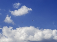 glider being towed