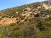 Looking across the canyon