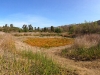 Passing by old dried up pond