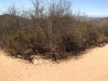 The alternative trail connecting into the main trail