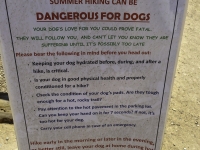 dog sign