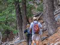 on the trail in the begining