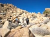 heading-up-through-the-boulders