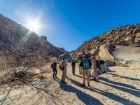 Group at start