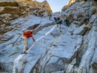 the group making its way up the beast