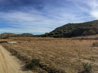 Passing by the gun range on the way out