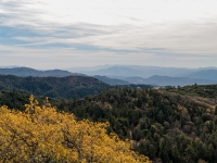 looking south towards Cuyamaca Peak