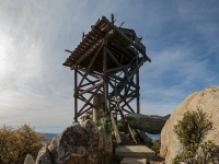 the ladder up the tower