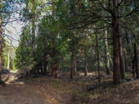 trail junction with rough road