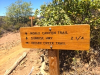 connecting into noble canyon trail