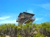 looking up at the fire lookout