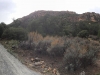 looking-up-at-morena-butte