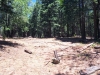 Scott cabin remains