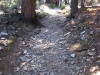 rocky trail