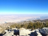 lookin-down-at-palm-springs