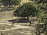 Tom and Sue taking a left onto the western vista loop