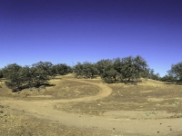 the fork in the trail to the western vista loop