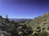 looking back down smugglers canyon