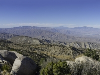 looking north from the top of whale peak