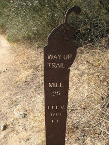 They have these nice little signs on the Way Up Trail giving you distance and elevation every .25 miles.