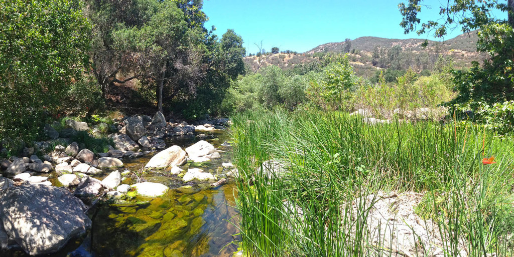 Crossing the creek at Elfin Forest