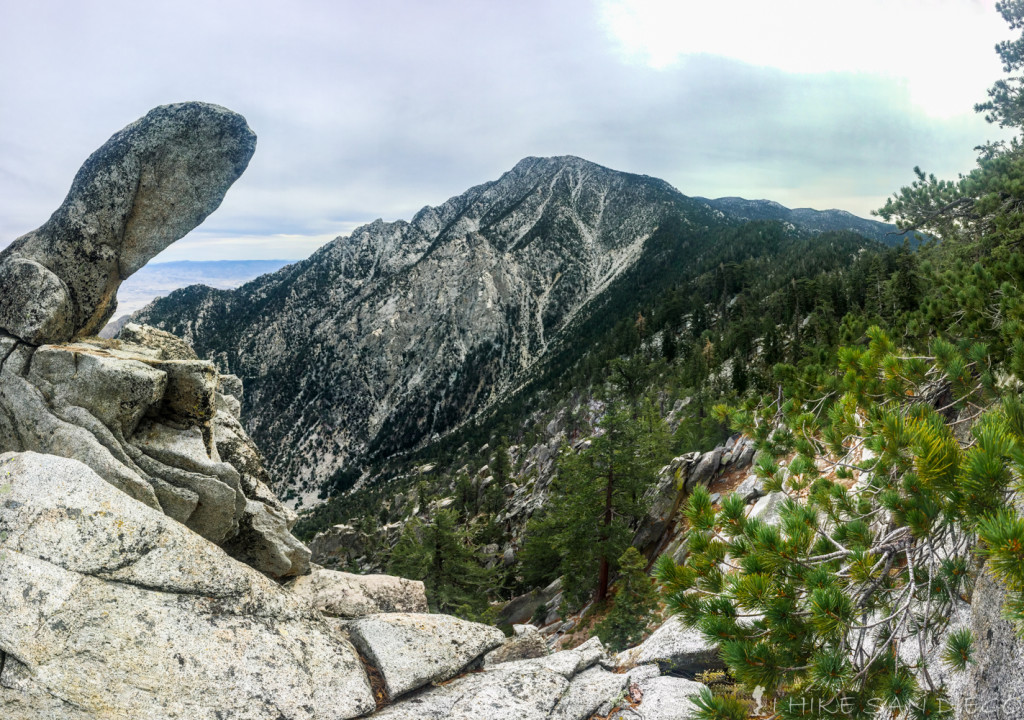 Great spot to take in the view of Mt San Jacinto at about 2 miles into the Fuller Ridge Trail Hike