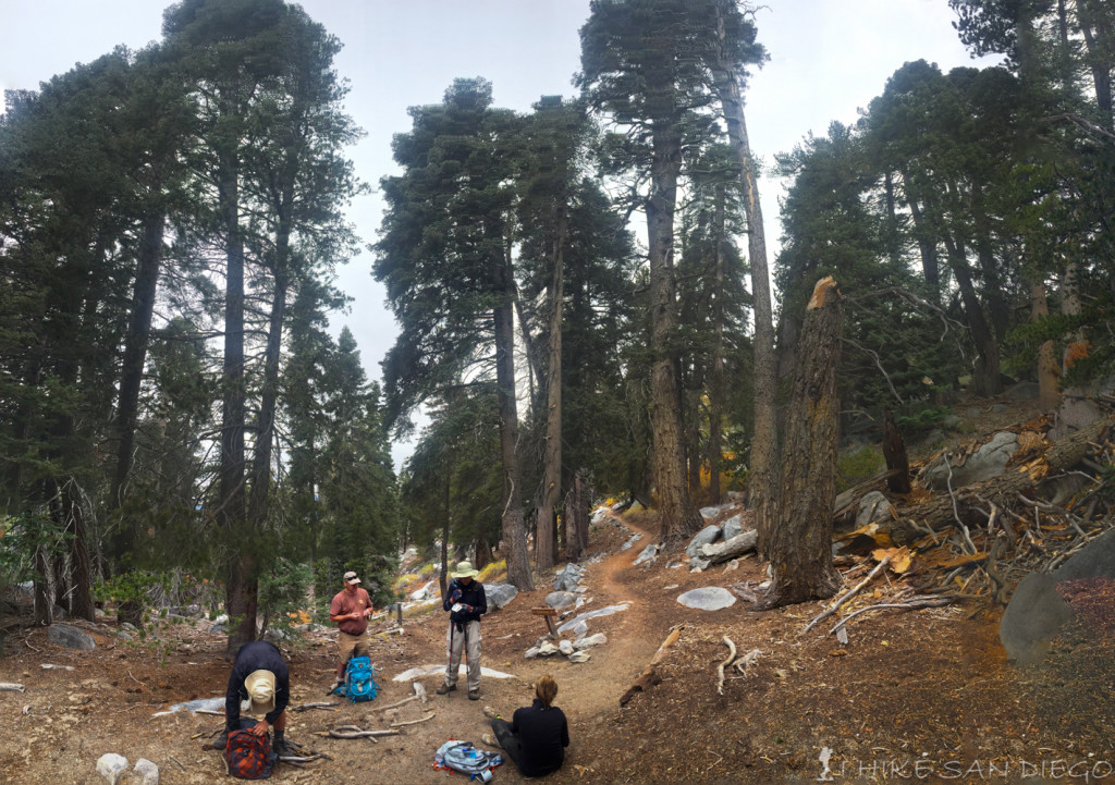 Taking a break at the Deer Springs Junction with Fuller Ridge Trail