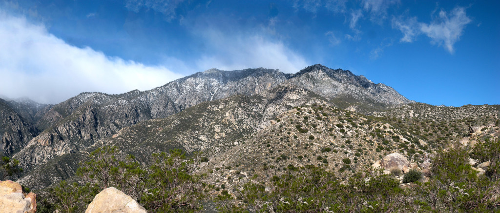 Looking towards the top of the ridge covered in snow