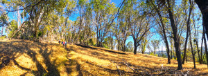 Hiking up Boucher Hill towards the fire lookout tower.