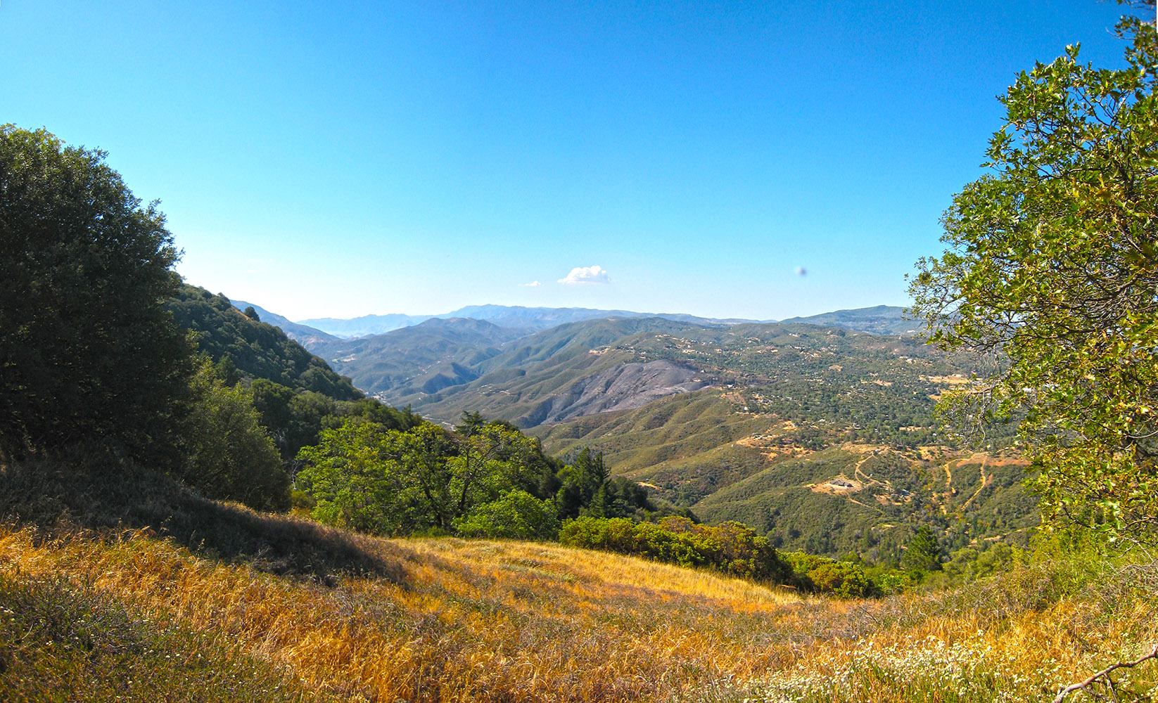 Volcan Mountain I Hike San Diego