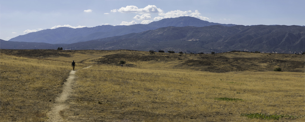 On the Pacific Crest Trail heading southeast. Volcan Mountain near Julian in the back ground.