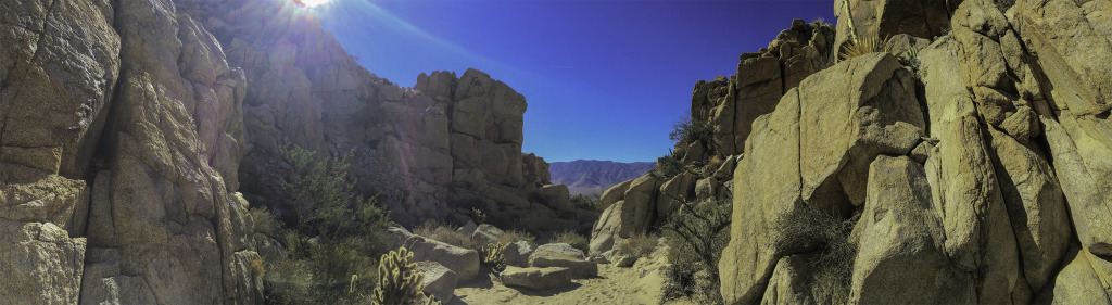 Hiking up Whale Peak via the Pictrograph Trail and Smugglers Canyon